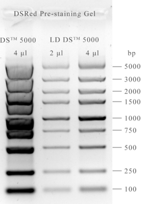 De niet Giftige van Nucleic Zuurgel van DSRed Vlek 10000x 0.5ml