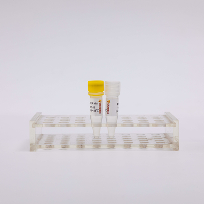 50 Omgekeerde Transcriptase PCR van Rxn 2X Reagentia Één Stap Hoofdmengeling P1001
