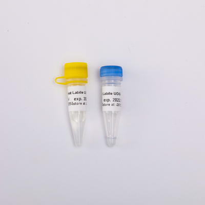 Hitte Labiele Hoofdmengeling voor PCR UDG hoogst Efficiënt Antiverontreinigingsenzym In real time